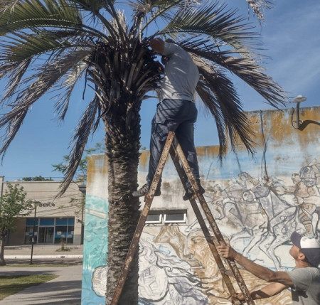 La municipalidad de Santa Lucía, junto a técnico de SENASA y con la colaboración de profesionales del mantenimiento de parques y jardines de la localidad